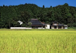 古い空き家